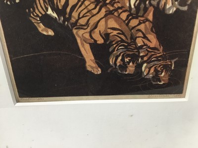 Lot 53 - Pair of colour prints of tigers and cubs feeding, 18cm x 17cm in glazed frames (2)