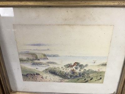 Lot 103 - Pair of 19th century Indian School watercolours ,25cm x 18cm in glazed frames