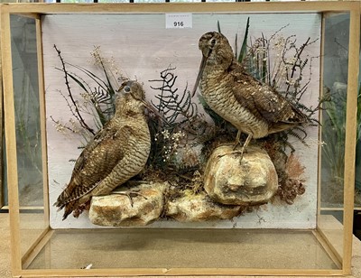 Lot 916 - Pair of Woodcock within naturalistic setting in glazed wall hanging case