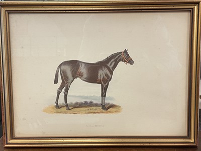 Lot 974 - Collection of twenty-six 19th century prints depicting horses, their pedigree verso, 23cm x 33cm, in double-sided glazed gilt frames