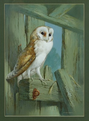 Lot 1280 - *Raymond Watson Barn Owl