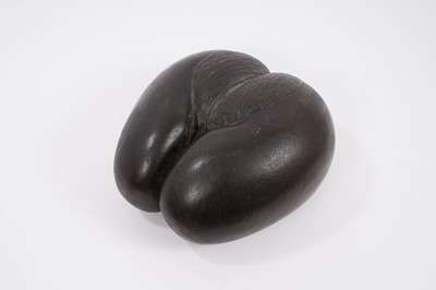 Lot 696 - Large coco de mer, 24cm high