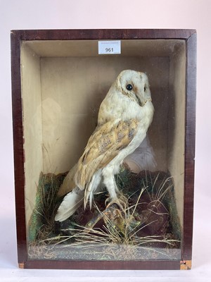 Lot 961 - Late Victorian Barn Owl within naturalistic setting in glazed case