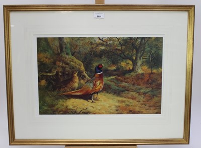 Lot 985 - Archibald Thorburn (1860-1935) pair of limited edition coloured prints - Pheasants in Woodland, 115/850, 33cm x 51cm, in glazed gilt frames