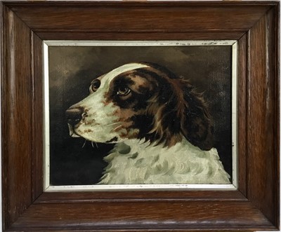 Lot 107 - English School 19th century, oil on canvas, A study of a spaniel's head, initialled and dated '87, in oak frame.  18 x 24cm