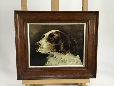 Lot 107 - English School 19th century, oil on canvas, A study of a spaniel's head, initialled and dated '87, in oak frame.  18 x 24cm