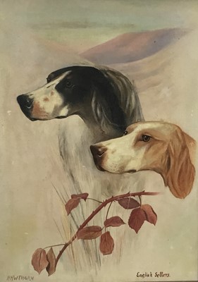 Lot 106 - H Hawthorn, early 20th century, oil on canvas, Two English Setters, signed and inscribed, in painted frame.  37 x 27cm