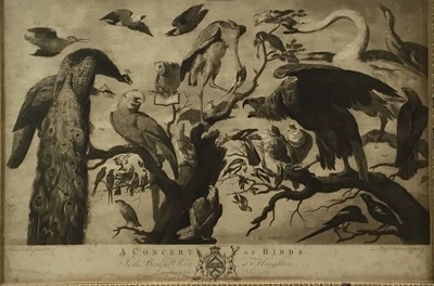 Lot 162 - After Mario di Fiore - 18th century engraving - ‘A Concert of Birds’ at Houghton, in period glazed frame