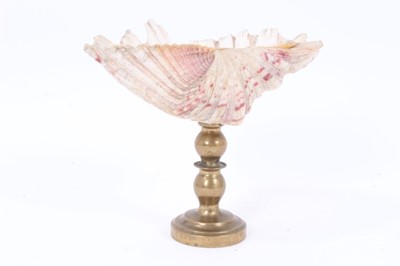 Lot 769 - Clam shell sweetmeat dish on brass stand