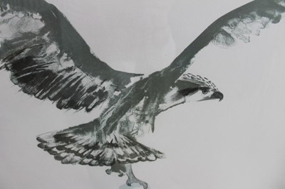 Lot 1000 - *Dame Elisabeth Frink (1930-1993) lithograph signed and numbered - 'Osprey', from the Seabird Series 1974, 62/150, 47.5cm x 65cm, in glazed frame