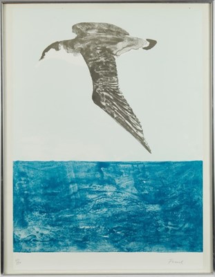 Lot 999 - *Dame Elisabeth Frink (1930-1993) lithograph signed and numbered - 'Shearwater', from The Seabird Series 1974, 47.5cm x 65cm in glazed frame