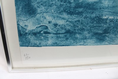 Lot 999 - *Dame Elisabeth Frink (1930-1993) lithograph signed and numbered - 'Shearwater', from The Seabird Series 1974, 47.5cm x 65cm in glazed frame