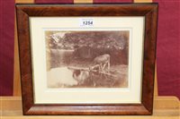 Lot 1254 - Frank Meadow Sutcliffe (1853 - 1941), albumen...