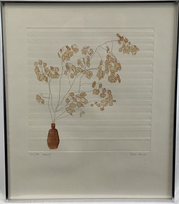 Lot 13 - Tessa Beaver (b.1932) a pair of signed and numbered prints - 'Papyrus', 99/150 and 'Honesty', 135/150, both images 40cm x 47cm, in glazed frames (2)