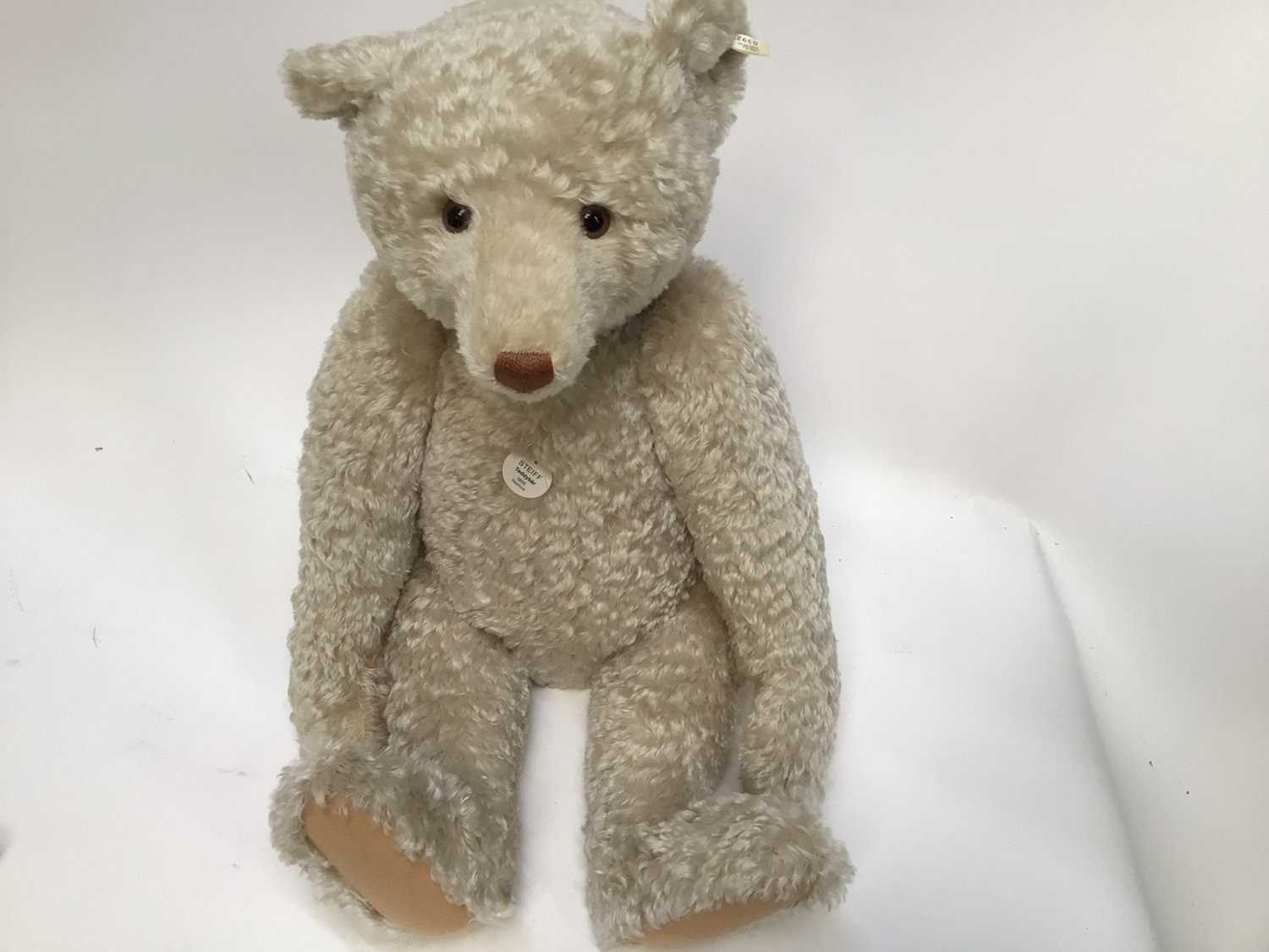 teddy bear 65cm