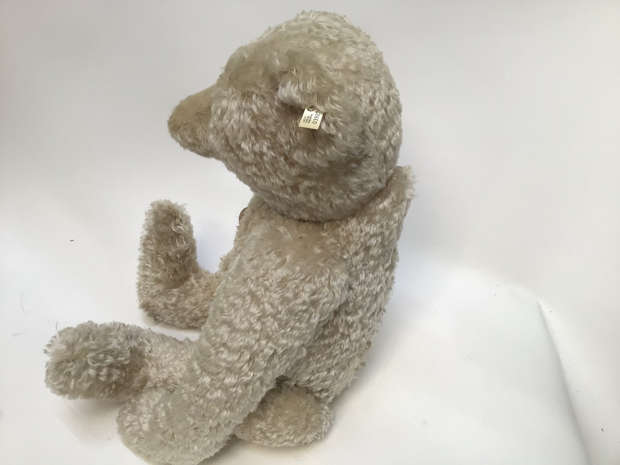 teddy bear 65cm