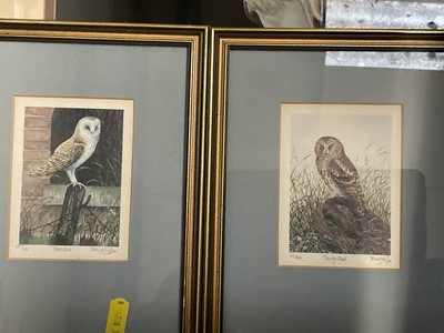 Lot 233 - Geoffrey King, pastel Barn Owl, together with other pictures by Willard Bond and others