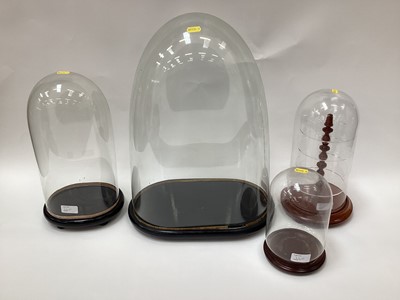 Lot 2401 - Five glass domes various