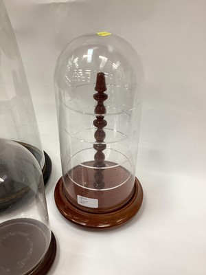 Lot 2401 - Five glass domes various