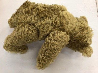Lot 1831 - Steiff 2001 Teddy Bear with Hot-Water Bottle 406621, boxed with certficate.