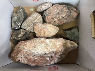 Lot 550 - Selection of mineral rock samples and driftwood