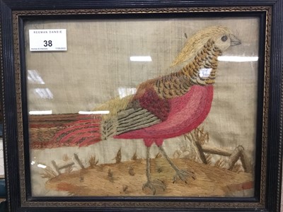 Lot 38 - Victorian silk and woolwork embroidered picture of a Chinese Pheasant in glazed frame