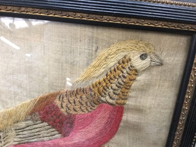 Lot 38 - Victorian silk and woolwork embroidered picture of a Chinese Pheasant in glazed frame
