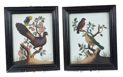 Lot 774 - Attributed to Samuel Dixon - pair of 18th century embossed watercolour bird pictures