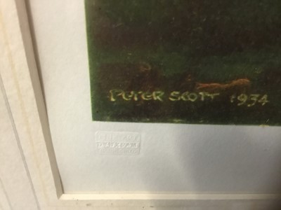 Lot 214 - Peter Scott, hand signed print - Ducks in flight, with blind stamp, glazed frame