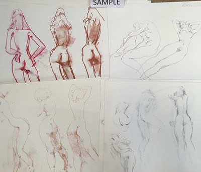Lot 312 - Peter Collins (1923-2001) - folio of nude sketches