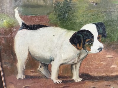 Lot 35 - English school oil on canvas - a puppy and kittens, signed and dated 'May Egdell, 1912'