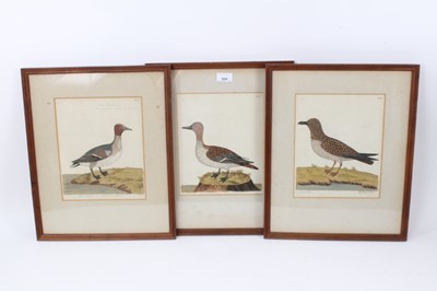 Lot 826 - Set of three 18th century ornithological hand coloured prints