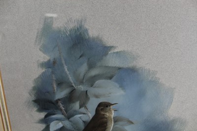 Lot 974 - Raymond Watson (1935-1994) watercolour and gouache - Nightingale among Brambles, signed, 55cm x 39cm, in glazed gilt frame