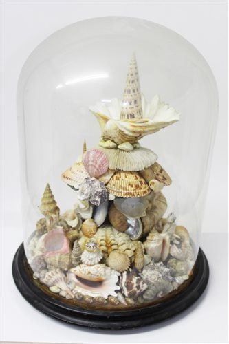 Lot 838 - Impressive 19th century shell grotto