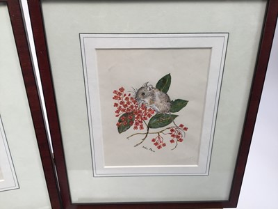 Lot 190 - Delia Marr, contemporary, group of five charming gouache illustrations - Animlas and Flowers, signed, 19cm x 15cm, in glazed frames