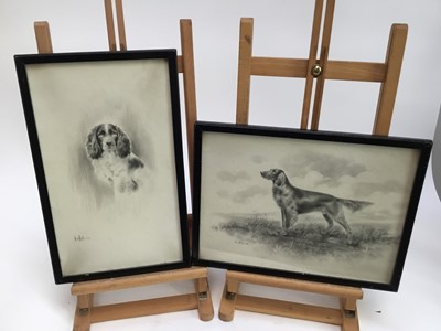 Lot 144 - Herbert Wynn Hellings (1873-1948) pencil, three dog portraits, each signed, the largest 29 x 49cm, in glazed frames
