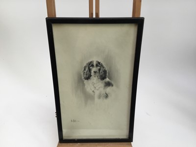 Lot 144 - Herbert Wynn Hellings (1873-1948) pencil, three dog portraits, each signed, the largest 29 x 49cm, in glazed frames