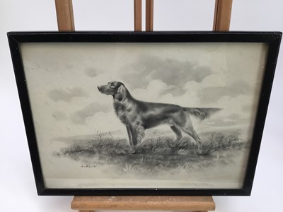 Lot 277 - Herbert Wynn Hellings (1873-1948) pencil, three dog portraits, each signed, the largest 29 x 49cm, in glazed frames