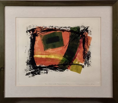 Lot 294 - Susan Sands (contemporary) colour etching, Window of Opportunity, signed, titled and numbered 3/6, plate 41 x 53cm, glazed frame
