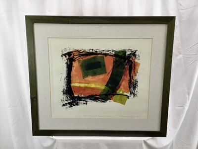 Lot 294 - Susan Sands (contemporary) colour etching, Window of Opportunity, signed, titled and numbered 3/6, plate 41 x 53cm, glazed frame