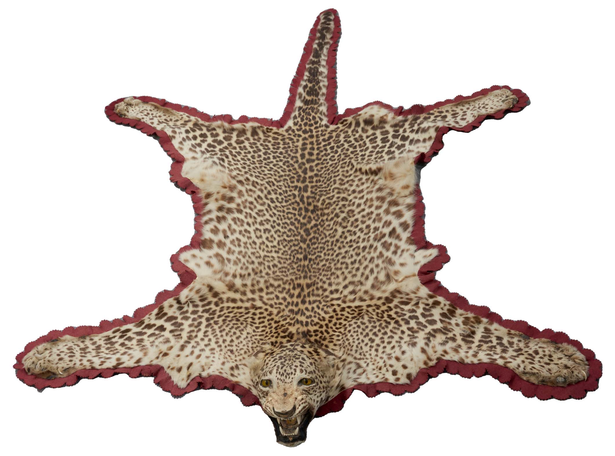 Lot 908 - Early 20th century leopard skin rug with