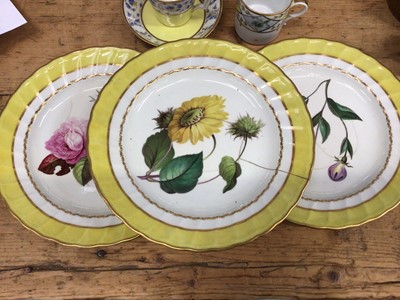 Lot 39 - A Berlin coffee can and saucer, a Paris porcelain coffee can, another can and a saucer, three damaged Derby botanical plates and a Derby yellow ground bowl