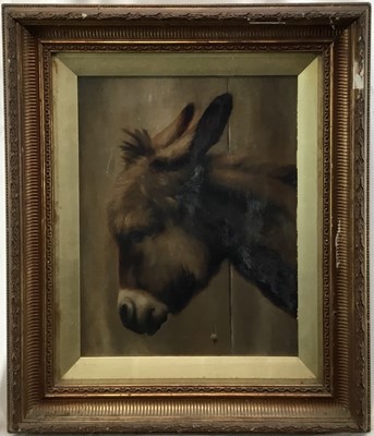 Lot 244 - 19th century English school, oil on panel, study of a donkey