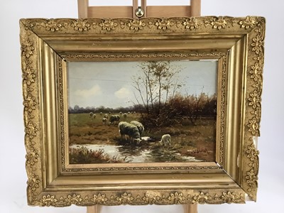 Lot 203 - Manner of Willem II Steelink (1856-1928), oil on panel, sheep in a meadow, bearing signature, 22cm x 32cm, in gilt frame