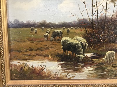 Lot 203 - Manner of Willem II Steelink (1856-1928), oil on panel, sheep in a meadow, bearing signature, 22cm x 32cm, in gilt frame