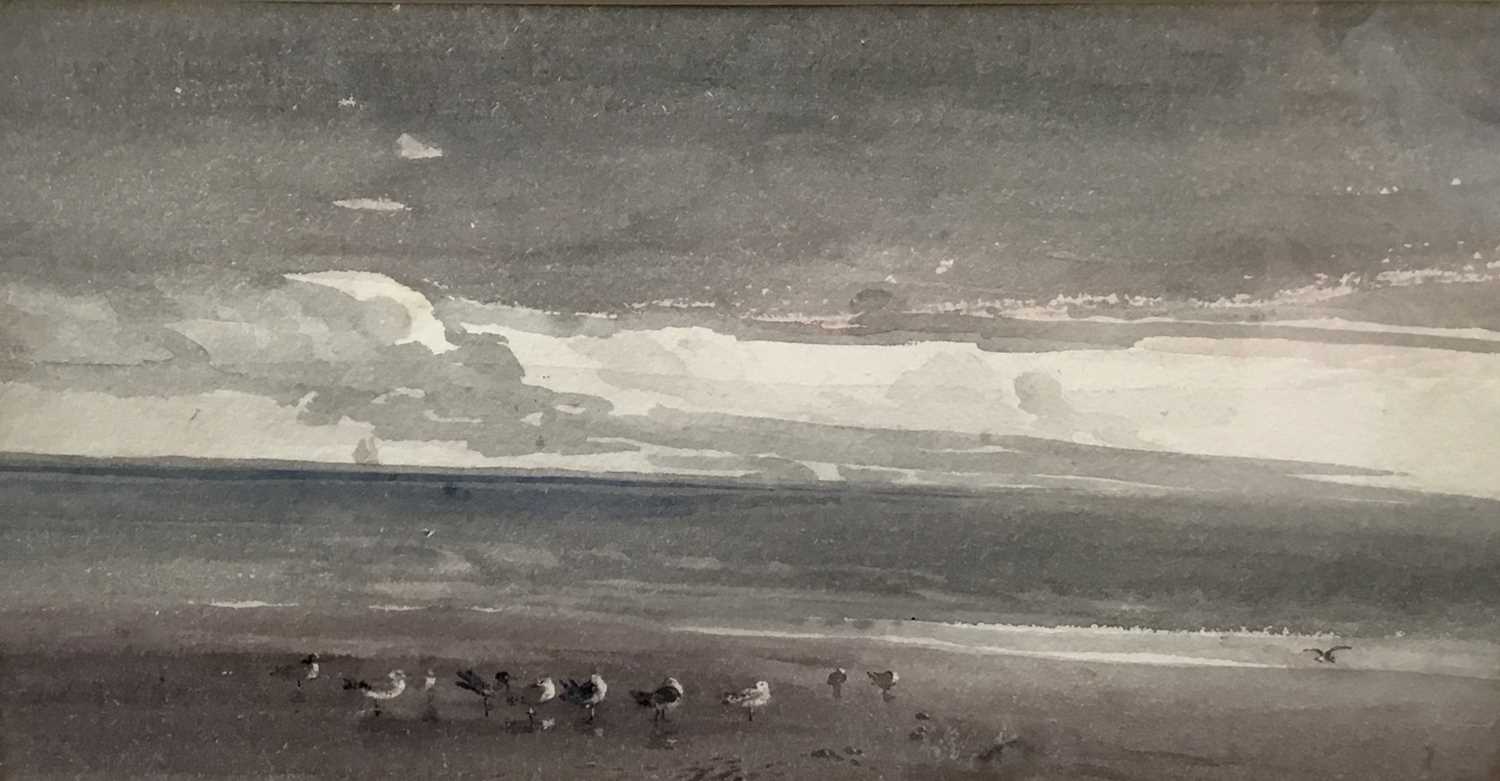 Lot 83 - S. Lucas (19th century) watercolour - Gulls on the shore, 32cm x 17cm in glazed frame