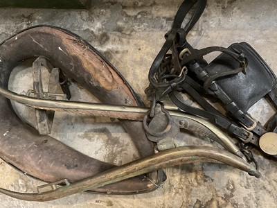 Lot 154 - Collection of horse tack