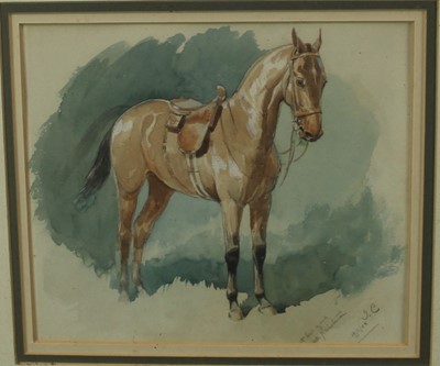 Lot 997 - John Charlton (1849-1917) watercolour, chestnut hunter, inscribed, signed with initials and dated.