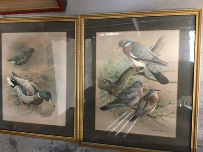 Lot 664 - Selection of pictures and prints including birds