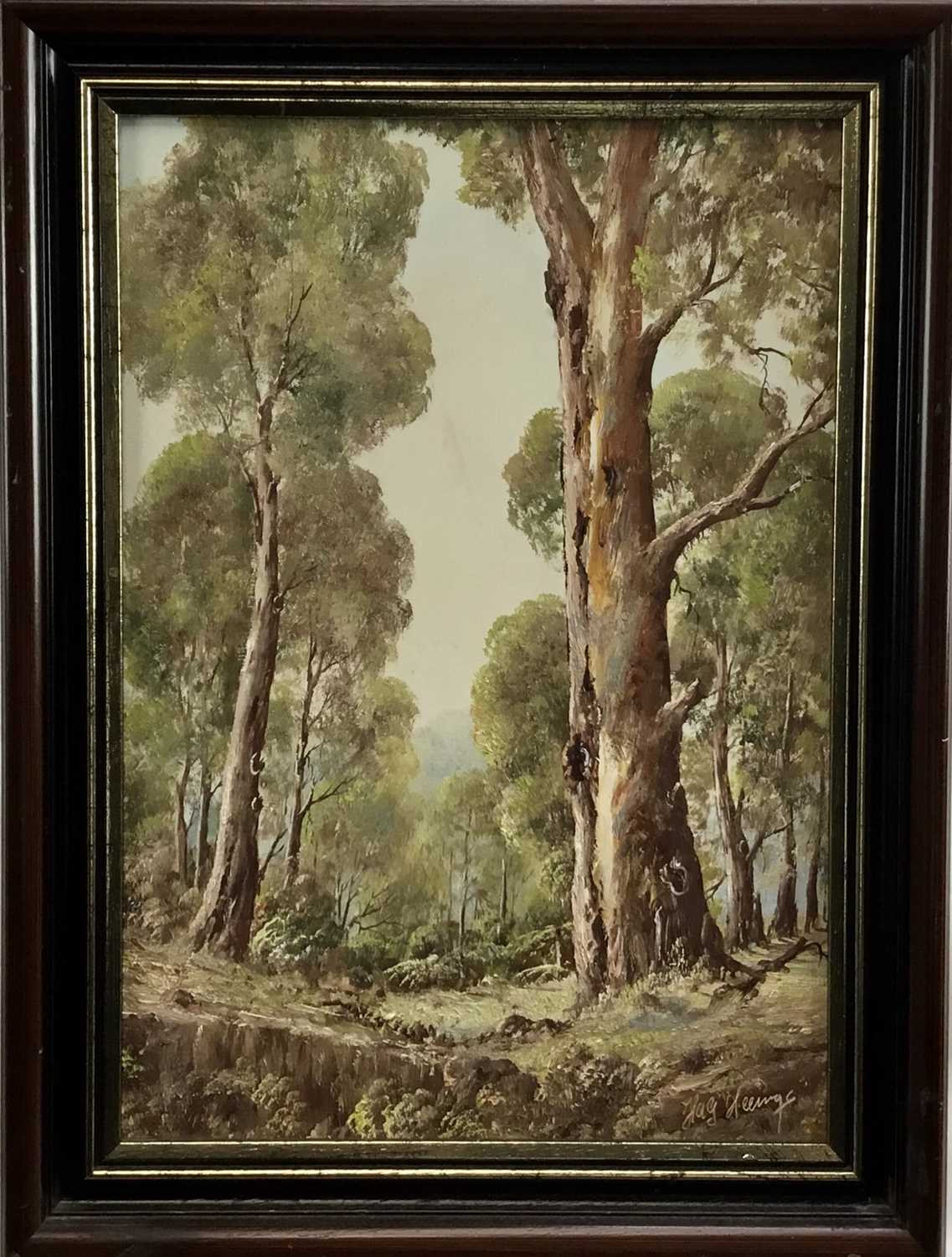 Lot 50 - H.A.G. Heerings (Contemporary) oil on board - Australian forest, 'Sherbrook Forest', signed, 34cm x 23cm, framed